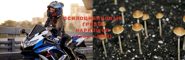 марки lsd Магадан