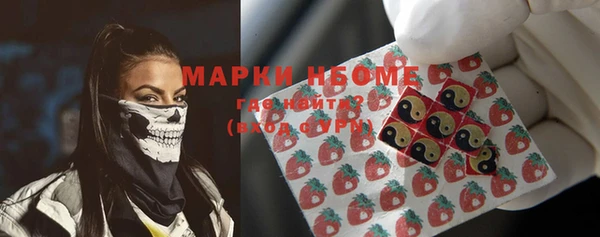 гашик Майский