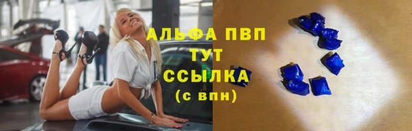 гашик Майский