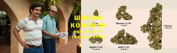крисы Магас