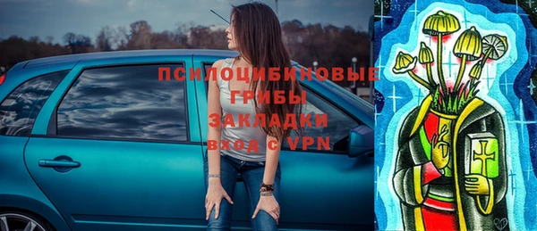 крисы Магас