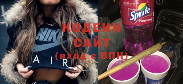 крисы Магас