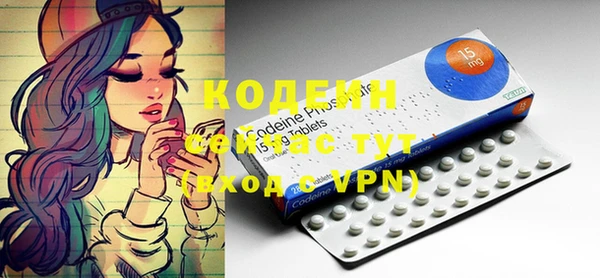 крисы Магас