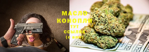 крисы Магас