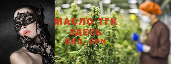 крисы Магас