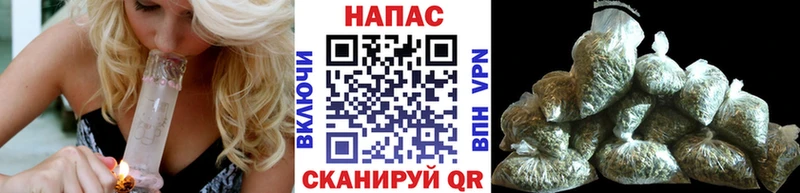как найти закладки  Сурск  Каннабис OG Kush 